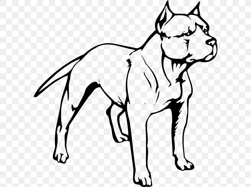 American Pit Bull Terrier Puppy American Bully, PNG, 600x611px, Pit Bull, Adult, American Bully, American Pit Bull Terrier, Artwork Download Free