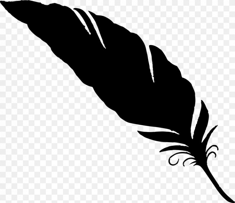 Feather Owl Clip Art, PNG, 850x735px, Feather, Arm, Beak, Bird, Black Download Free