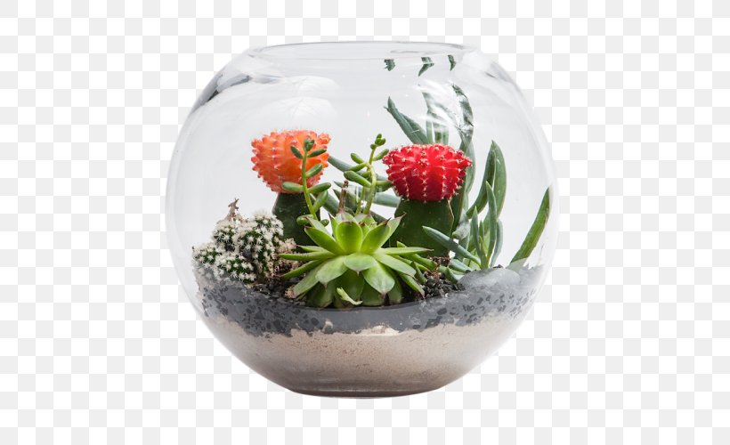 Flowerpot Succulent Plant Cactus Garden Bowl, PNG, 500x500px, Flowerpot, Bowl, Cactaceae, Cactus Garden, Ceramic Download Free