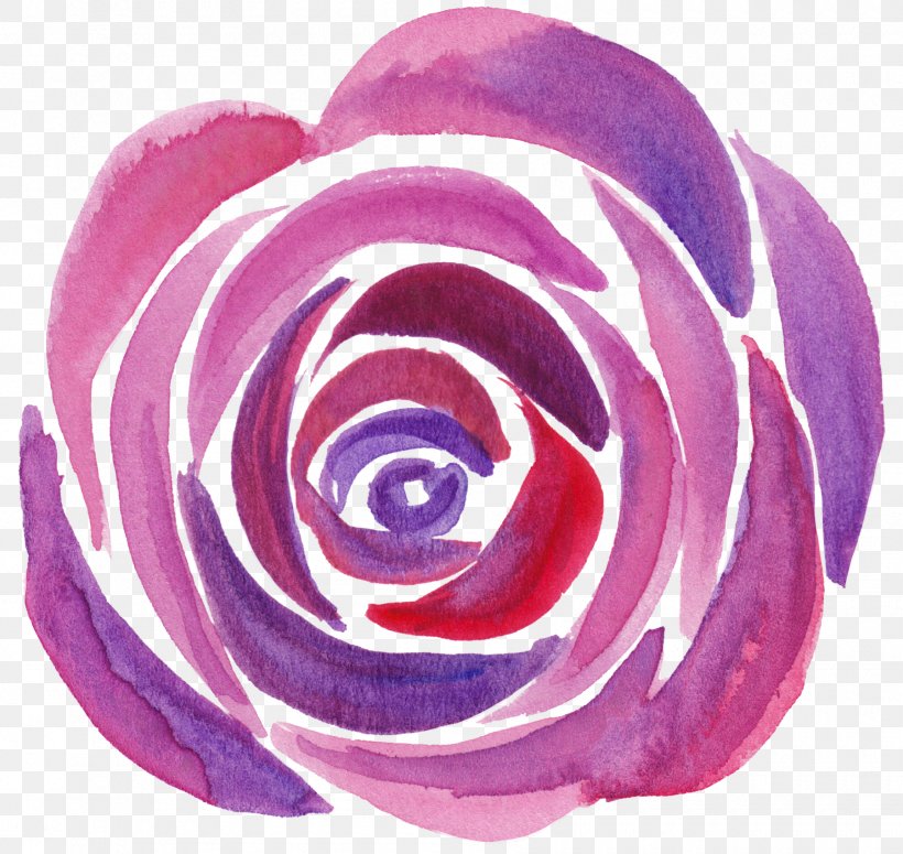 Garden Roses Wine NSYNC It's Gonna Be Me, PNG, 1800x1703px, Watercolor, Cartoon, Flower, Frame, Heart Download Free