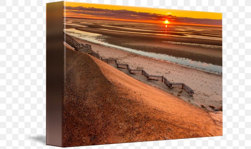 Thumpertown Beach Duvet Covers Cape, PNG, 650x489px, Duvet Covers, Beach, Cape, Cape Cod, Duvet Download Free