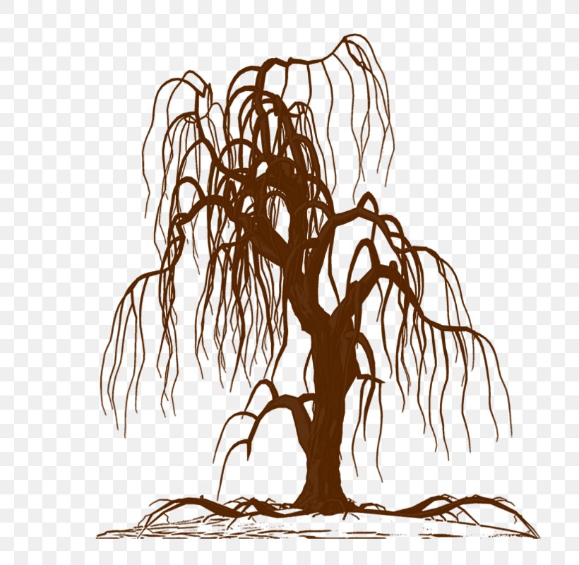 Wall Decal Weeping Willow Tree Drawing Silhouette, PNG, 800x800px, Wall Decal, Art, Black And White, Branch, Decal Download Free