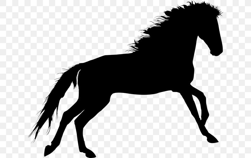 Horse, PNG, 640x515px, Horse, Black And White, Bridle, Colt, English Riding Download Free