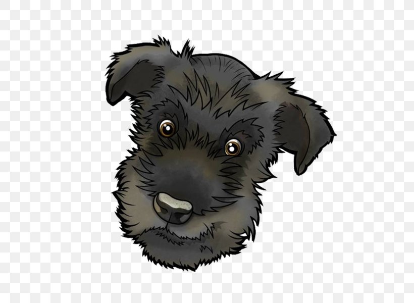 Miniature Schnauzer Schnoodle Affenpinscher Cairn Terrier Pumi Dog, PNG, 604x600px, Miniature Schnauzer, Affenpinscher, Breed, Breed Group Dog, Cairn Terrier Download Free