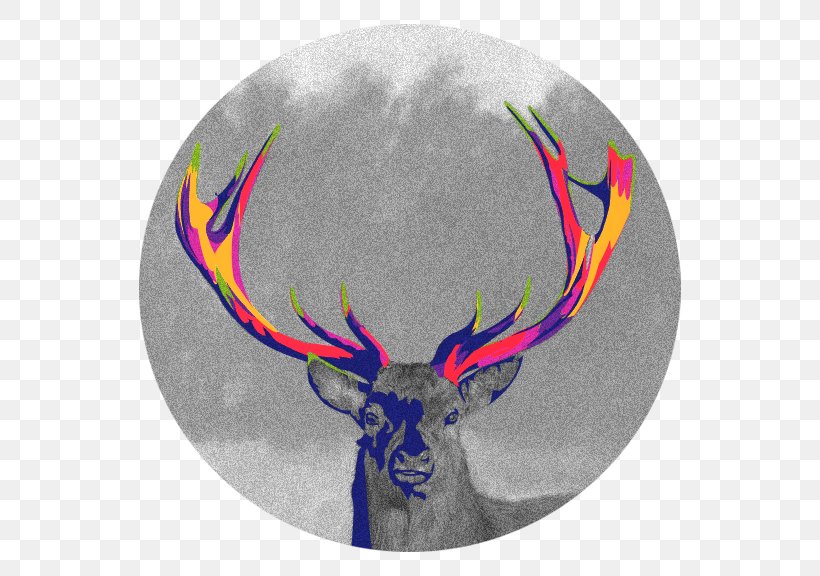 Reindeer Antler, PNG, 576x576px, Reindeer, Antler, Deer Download Free