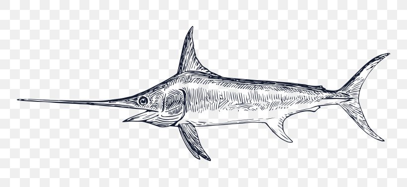 Swordfish Drawing Billfish Clip Art, PNG, 7380x3402px, Swordfish, Animal Figure, Atlantic Blue Marlin, Billfish, Bony Fish Download Free