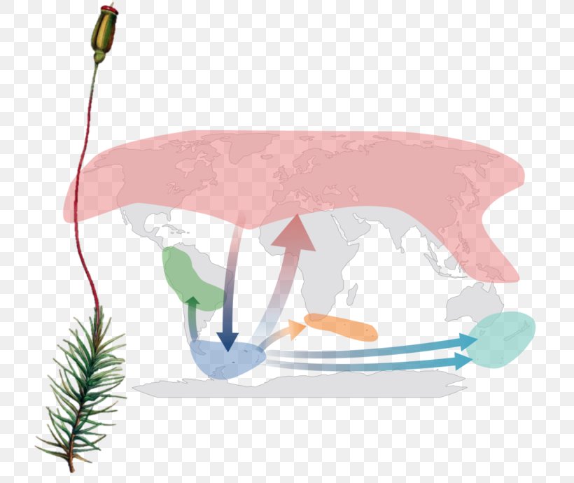 Antarctic Moss World Tundra, PNG, 736x690px, Antarctic, Antarctica, Biogeography, Globe, Human Migration Download Free