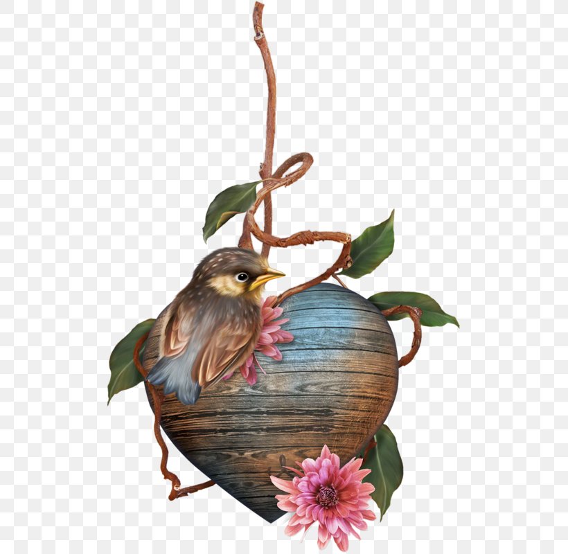 Bird Nest Bag Charm LiveInternet Diary, PNG, 509x800px, Bird, Bag Charm, Bird Nest, Branch, Diary Download Free