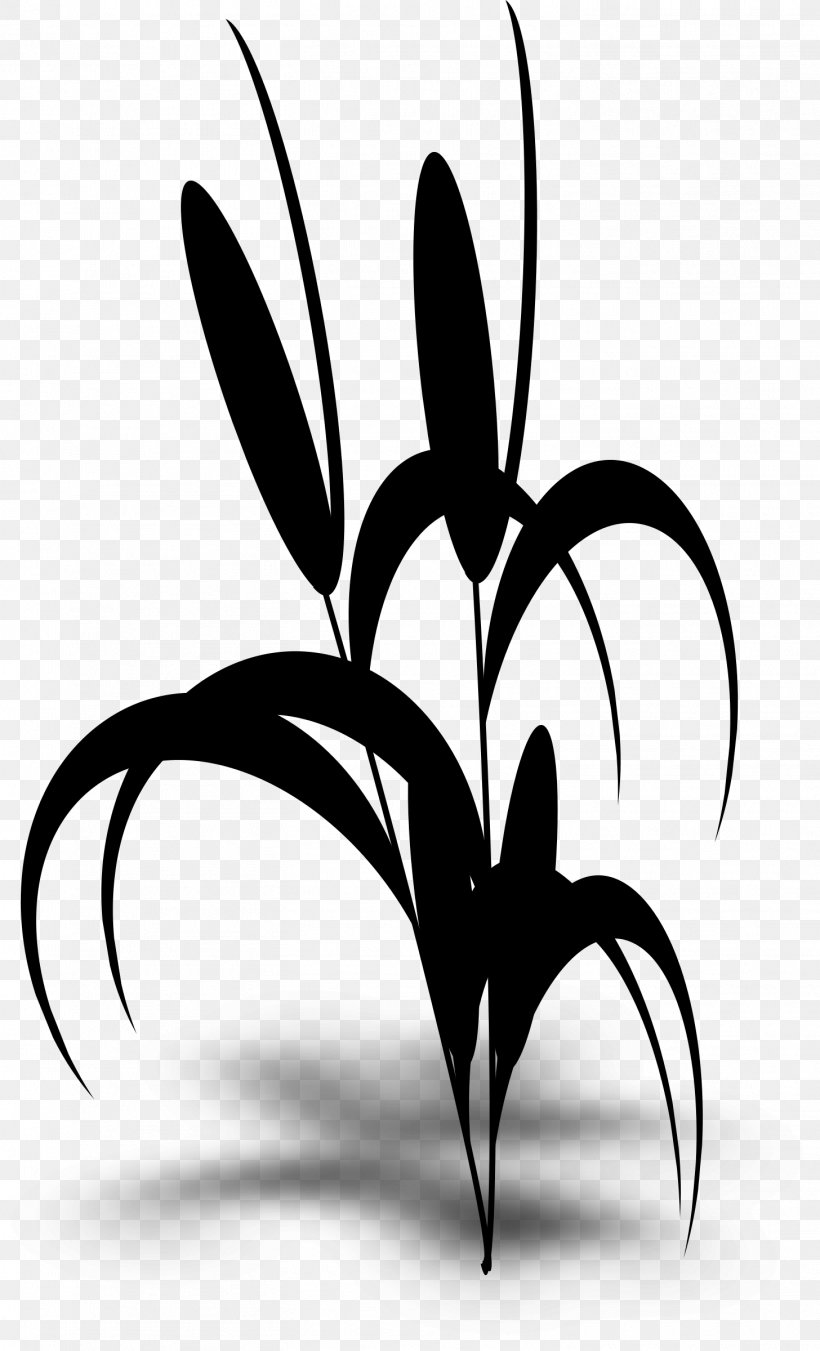 Clip Art Image Drawing Illustration, PNG, 1456x2400px, Drawing, Blackandwhite, Botany, Flower, Leaf Download Free