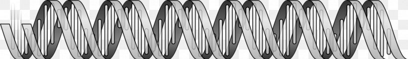 DNA Nucleic Acid Double Helix Gene Clip Art, PNG, 2400x351px, Dna, Biology, Black And White, Chromosome, Gene Download Free