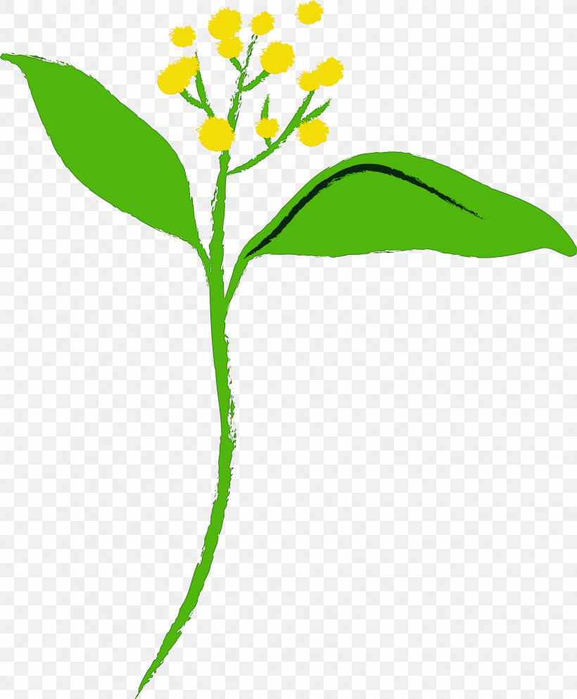 Flower Alpine Forget-me-not Plant Leaf Pedicel, PNG, 2475x3000px, Flower, Alpine Forgetmenot, Goldenrod, Herbaceous Plant, Leaf Download Free