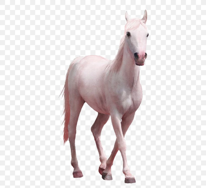 Horse Clip Art, PNG, 750x750px, Horse, Alpha Compositing, Animal Figure, Colt, Foal Download Free