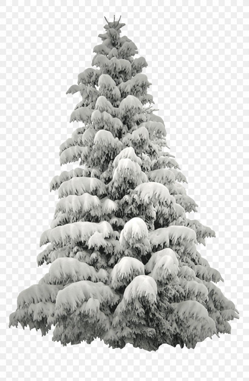 Christmas Winter Grace Randolph's Supurbia, PNG, 839x1280px, Christmas, Black And White, Christmas Decoration, Christmas Ornament, Christmas Tree Download Free
