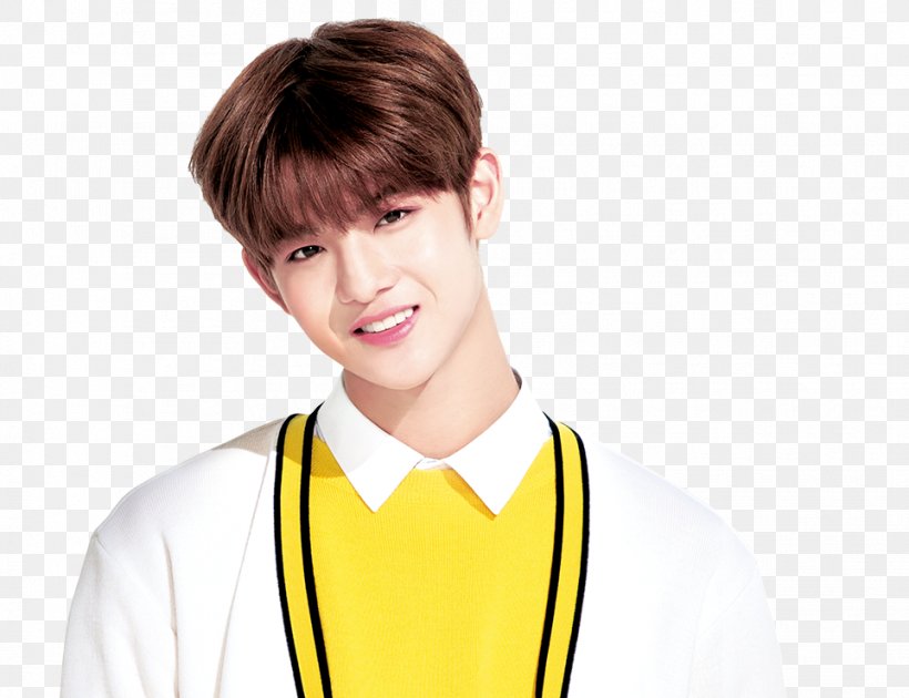 Wanna One Produce 101 1X1=1 (To Be One), PNG, 963x740px, Wanna One, Bae Jin Young, Boy, Brown Hair, Facial Expression Download Free