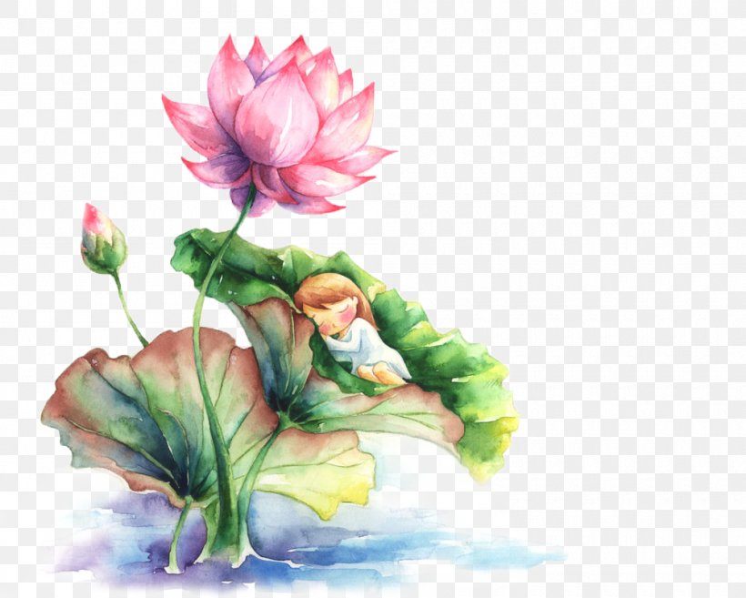 Watercolor Painting Nelumbo Nucifera, PNG, 1000x802px, Watercolor Painting, Aquatic Plant, Art, Chinese Art, Floral Design Download Free