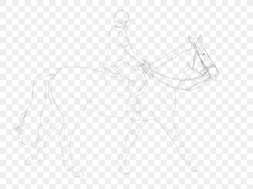 Bridle Mane Mustang Halter Sketch, PNG, 1024x768px, Bridle, Arm, Artwork, Black And White, Drawing Download Free