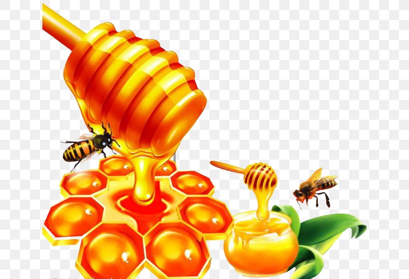 Honey Bee Honey Bee Honeycomb, PNG, 650x559px, Bee, Alibaba Group, Beehive, Beekeeper, Brix Download Free