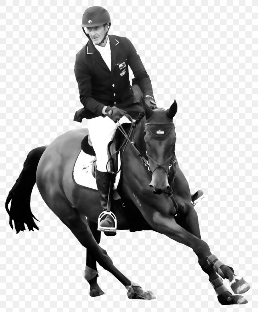 Hunt Seat Horse Stallion Rein Dressage, PNG, 1000x1213px, Hunt Seat, Animal Sports, Animal Training, Bit, Black And White Download Free