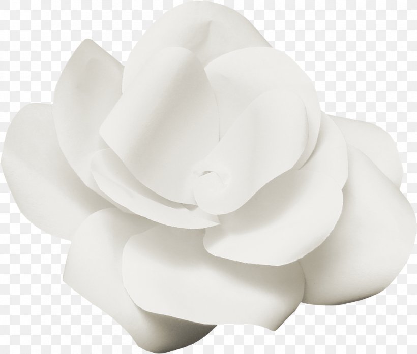 White Flower Poster, PNG, 1248x1061px, White, Designer, Flower, Flower Bouquet, Petal Download Free