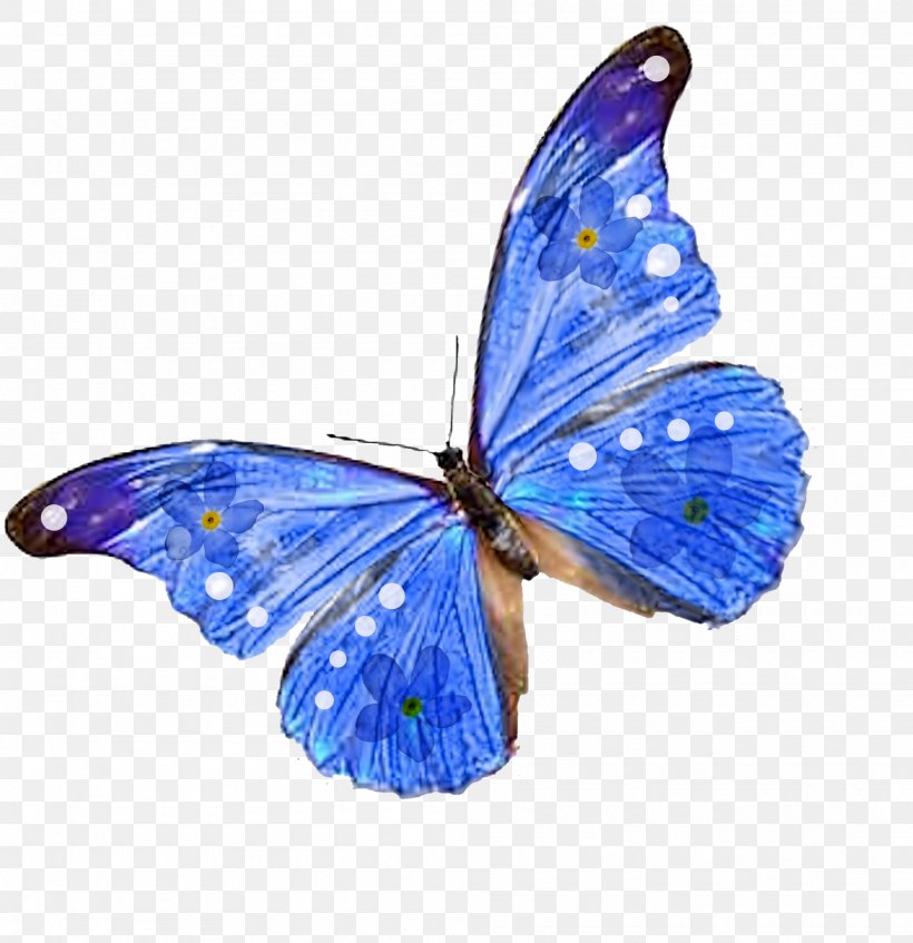 Butterfly Desktop Wallpaper Clip Art, PNG, 2000x2067px, Butterfly, Arthropod, Blue, Brush Footed Butterfly, Butterflies And Moths Download Free