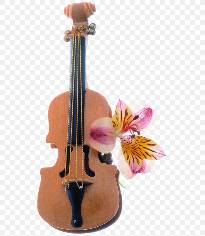 Flower Bouquet Floral Design Floristry, PNG, 527x944px, Flower, Acoustic Electric Guitar, Art, Bass Guitar, Bowed String Instrument Download Free