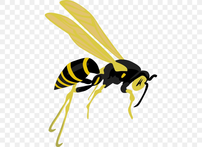 Hornet Bee Wasp Clip Art, PNG, 456x598px, Hornet, Arthropod, Bee, Fly, Free Content Download Free