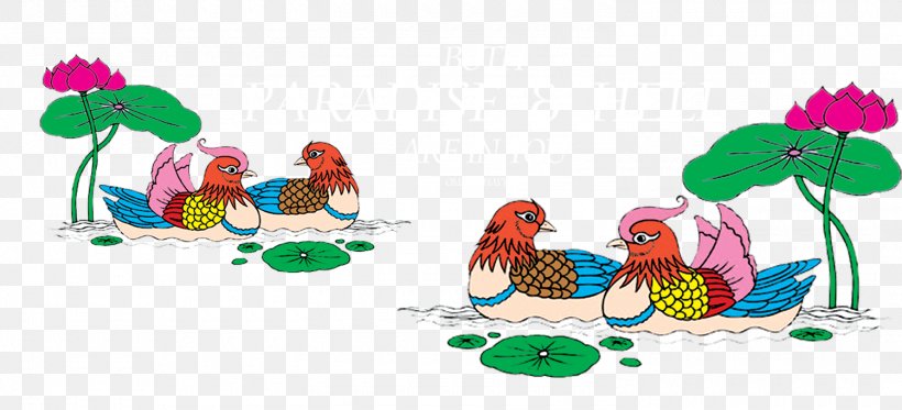 Mandarin Duck Clip Art, PNG, 1500x684px, Duck, Art, Beak, Bird, Cartoon Download Free