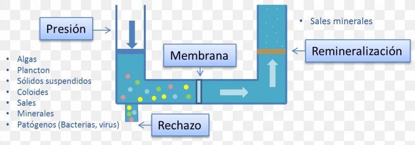 Reverse Osmosis Ultrafiltration Water Membrane, PNG, 1039x365px, Osmosis, Algae, Area, Brand, Communication Download Free