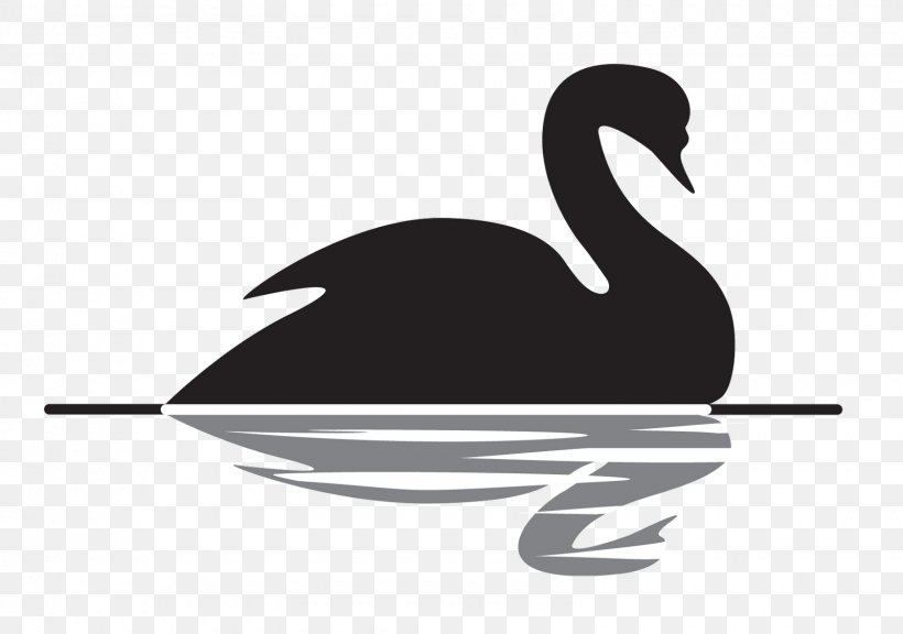 The Black Swan: The Impact Of The Highly Improbable Antifragile Black Swan Theory Prediction, PNG, 1600x1124px, Antifragile, Beak, Bird, Black And White, Black Swan Download Free