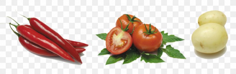 Vegetable Tomato Auglis Ingredient Food, PNG, 1157x366px, Vegetable, Auglis, Bell Peppers And Chili Peppers, Bird S Eye Chili, Capsicum Annuum Download Free