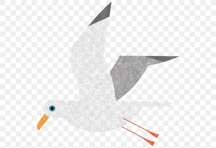 Bird Japan Gulls Illustrator Illustration, PNG, 564x564px, Bird, Beak, Cover Art, Gulls, Illustrator Download Free