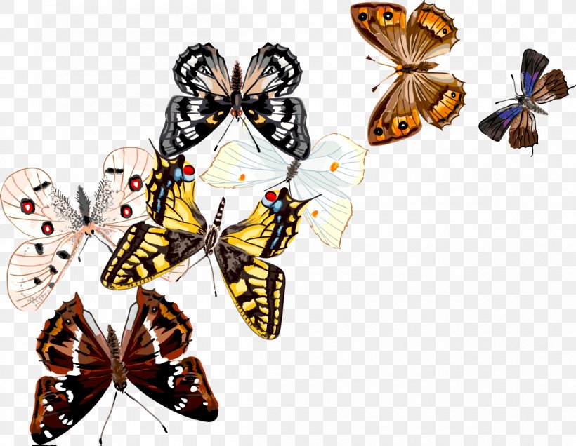 Butterfly Insect Drawing, PNG, 1200x932px, Butterfly, Art, Arthropod, Brush Footed Butterfly, Butterflies And Moths Download Free