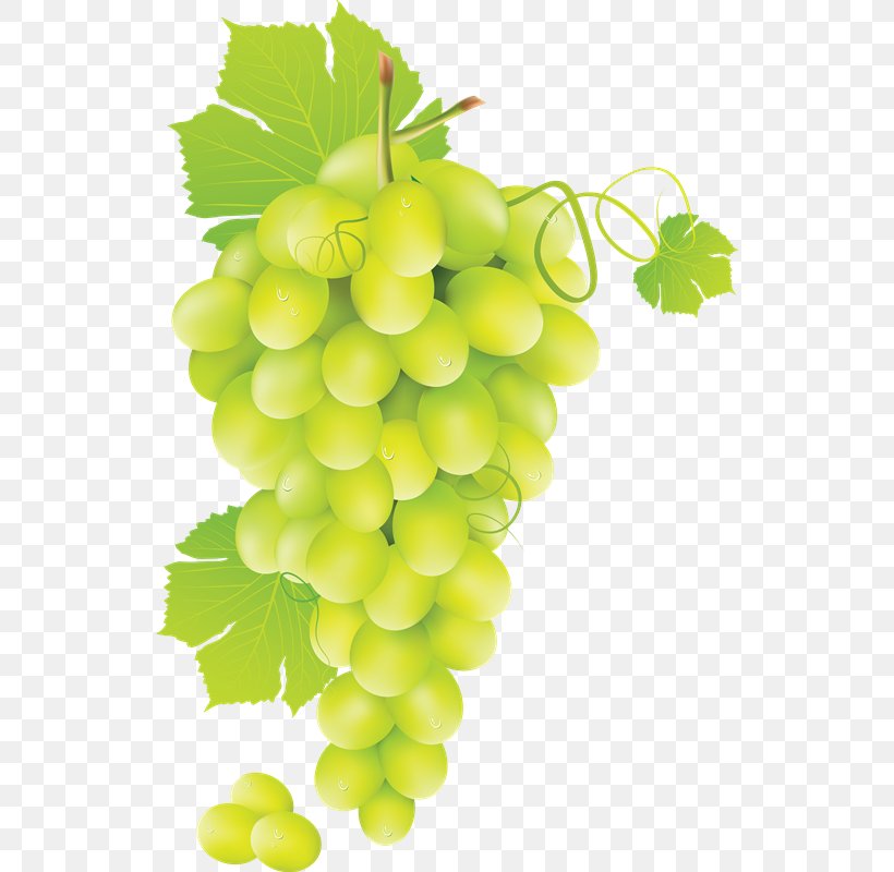 Chenin Blanc White Wine Grape, PNG, 534x800px, Chenin Blanc, Berry, Common Grape Vine, Food, Fruit Download Free