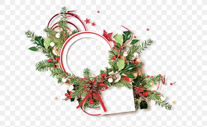 Christmas Ornament, PNG, 650x505px, Christmas Ornament, Biology, Christmas Day, Floral Design, Flower Download Free