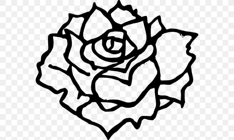 Drawing Black Rose Clip Art, PNG, 570x491px, Drawing, Art, Artwork, Black, Black And White Download Free