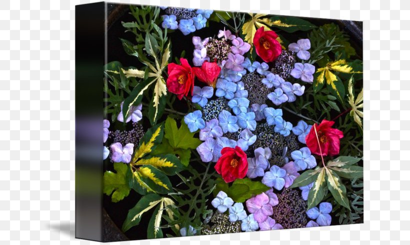 Floral Design Cut Flowers Flower Bouquet, PNG, 650x489px, Floral Design, Annual Plant, Cut Flowers, Family, Family Film Download Free