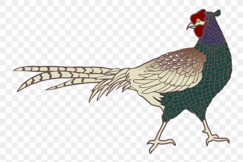 Rooster Ring-necked Pheasant Bird Green Pheasant, PNG, 1280x853px, Rooster, Animal, Beak, Bird, Chicken Download Free
