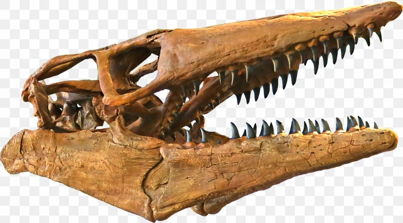 Tylosaurus Triceratops Western Interior Seaway Jurassic Park