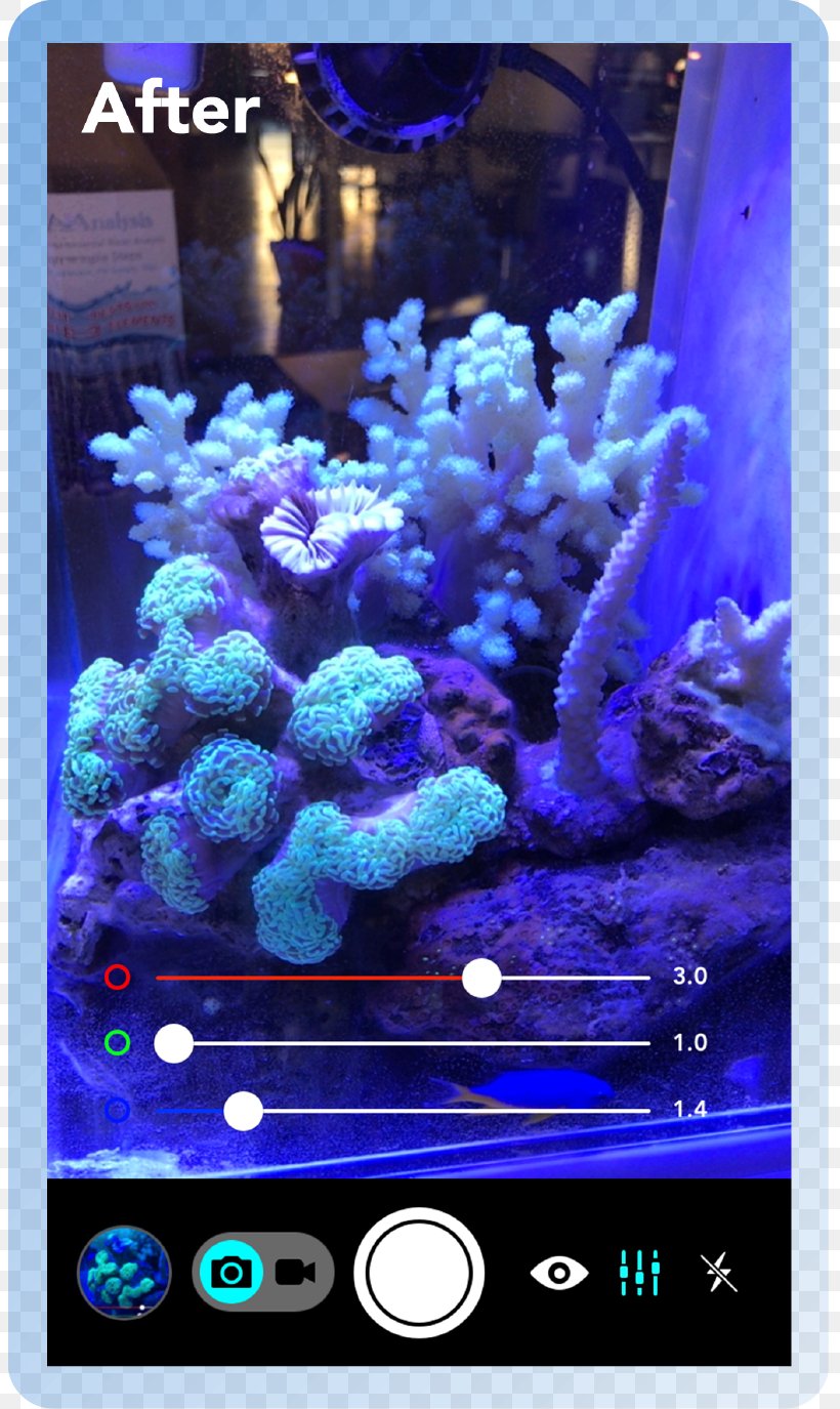 Aquarium Lighting Coral Reef Actinism, PNG, 803x1375px, Aquarium Lighting, Actinism, Aquarium, Camera, Coral Download Free