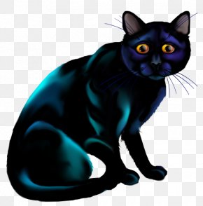 Bombay Cat - Black Cat Kitten Whiskers Domestic Short-haired Cat PNG