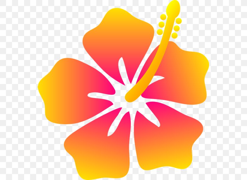 Hawaii Drawing Flower Floral Design, PNG, 600x600px, Hawaii, Cartoon, Coloring Book, Cut Flowers, Drawing Download Free