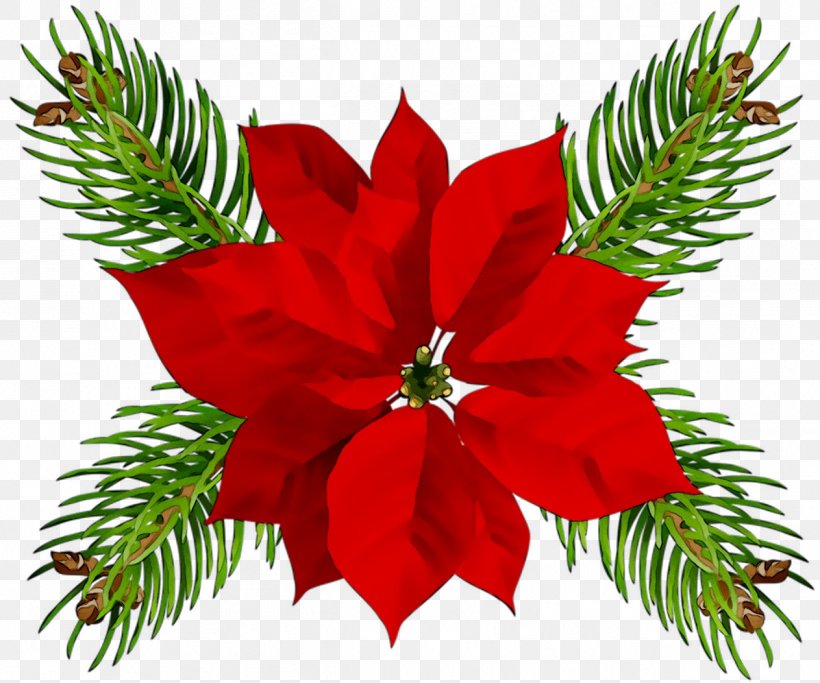 Poinsettia Christmas Day Christmas Ornament Christmas Eve, PNG, 1263x1053px, Poinsettia, Botany, Christmas Day, Christmas Decoration, Christmas Eve Download Free
