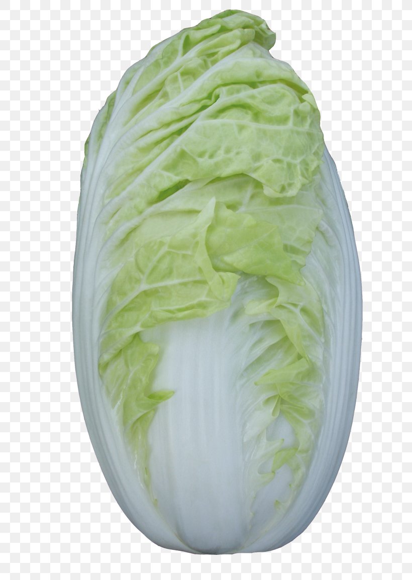 Red Cabbage Vegetable Chinese Cabbage Napa Cabbage, PNG, 755x1154px, Vegetable, Bok Choy, Cabbage, Chinese Cabbage, Cucumber Download Free