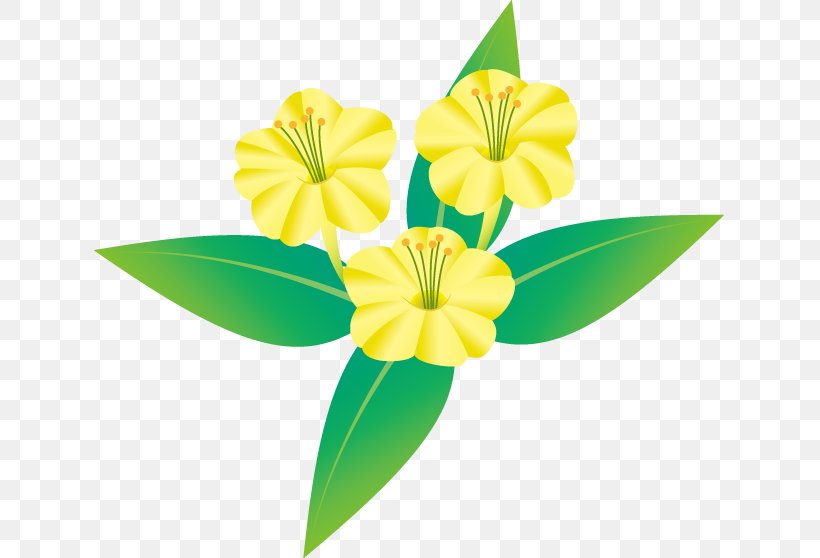 Illustration Marvel-of-peru Flower Art Royalty-free, PNG, 631x558px, Marvelofperu, Art, Cut Flowers, Flower, Flowering Plant Download Free