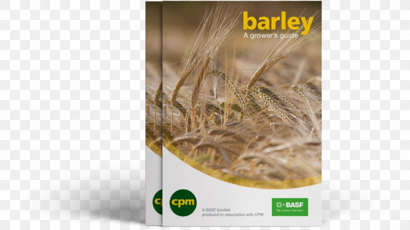 Beer Barley BASF Agronomy Variety, PNG, 1204x676px, Beer, Agronomy, Barley, Basf, Brand Download Free