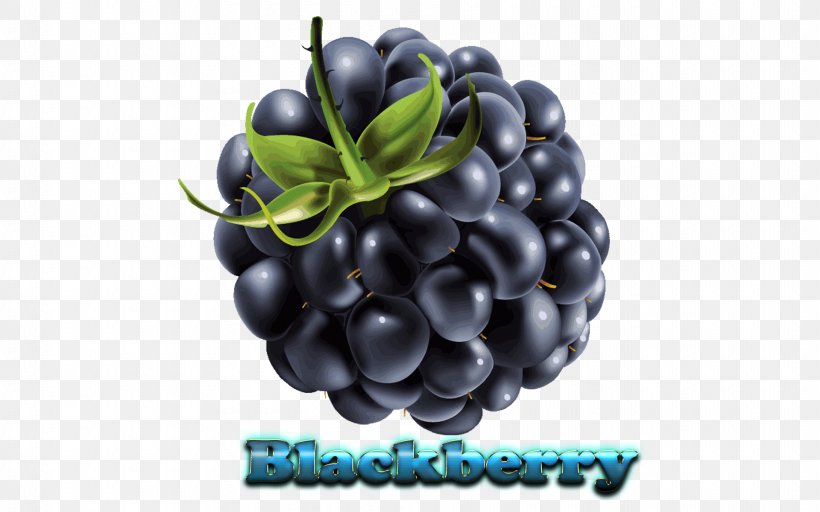 BlackBerry Priv BlackBerry KEYone BlackBerry Messenger, PNG, 1920x1200px, Blackberry Priv, Amora, Auglis, Berry, Bilberry Download Free