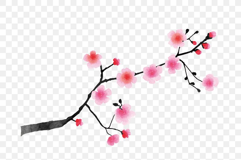 Cerasus East Asian Cherry Cherry Blossom Japan White, PNG, 728x544px, Cerasus, Anklet, Blossom, Blue, Bracelet Download Free