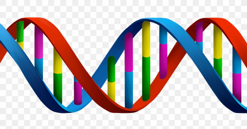 DNA Genetics Biology Clip Art, PNG, 1200x630px, Dna, Biology, Crispr, Epigenetics, Fashion Accessory Download Free