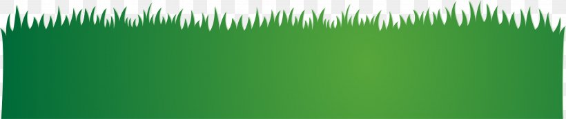Grasses Green Wallpaper, PNG, 3001x636px, Grasses, Computer, Family, Grass, Grass Family Download Free