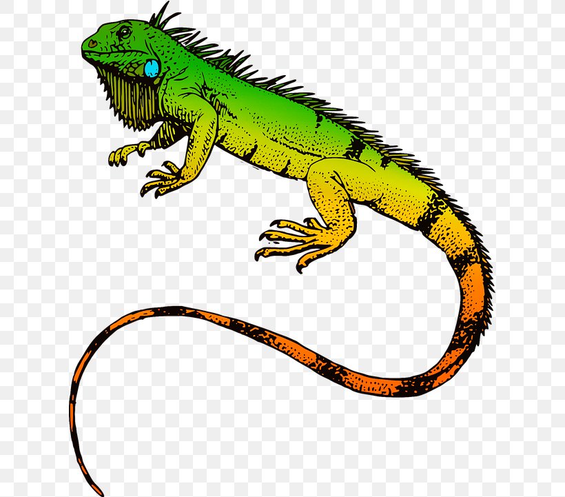 Green Wall, PNG, 622x721px, Reptile, Adaptation, Agama, Animal, Animal Figure Download Free
